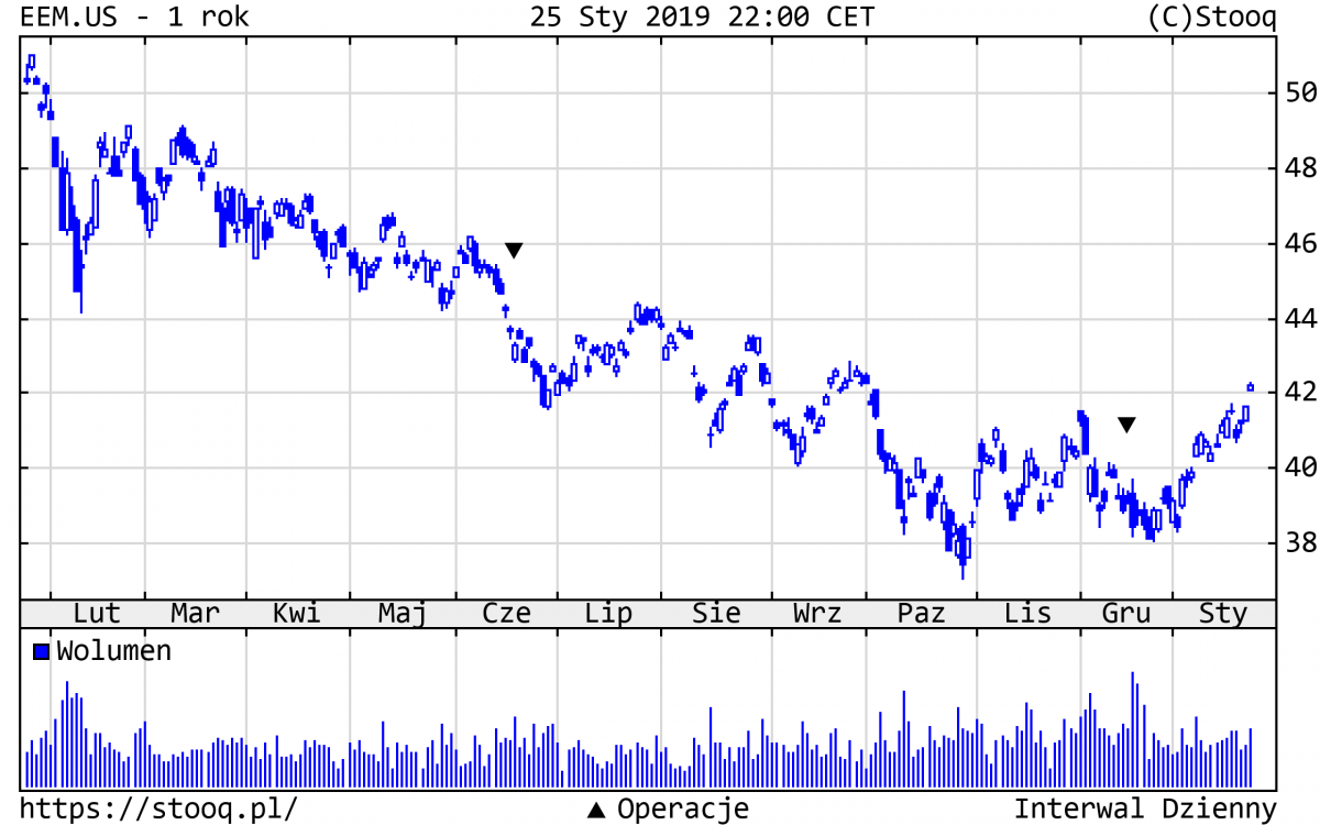 20190128_EEM.US_1_rok